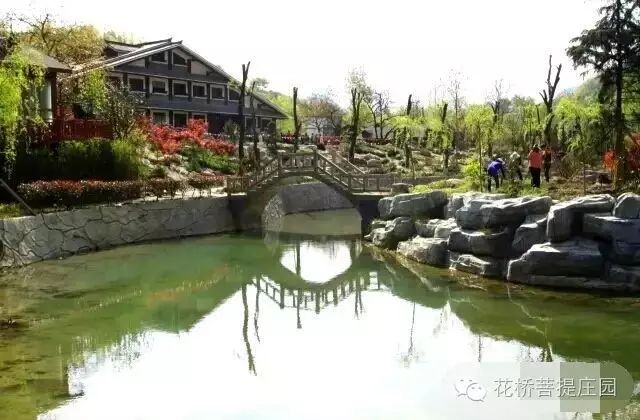 這個(gè)周末，隴南康縣花橋有大事要發(fā)生？