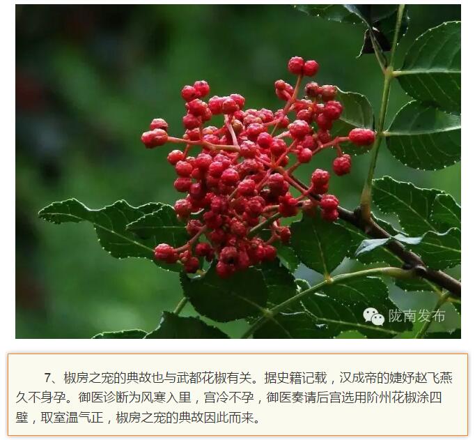 蘭渝鐵路最早由孫中山先生提出？在隴南，你不知道的事兒還有……