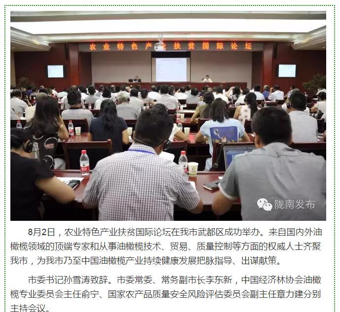大腕齊聚農(nóng)業(yè)特色產(chǎn)業(yè)扶貧國際論壇，“把脈”隴南油橄欖發(fā)展
