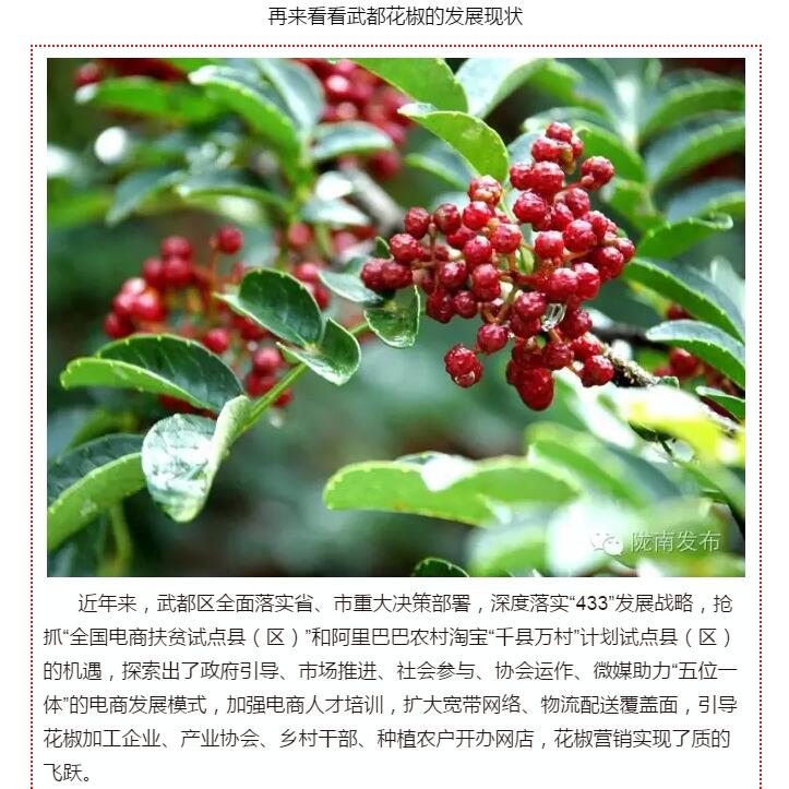 5.28億！一場(chǎng)盛會(huì)，武都花椒“火”了