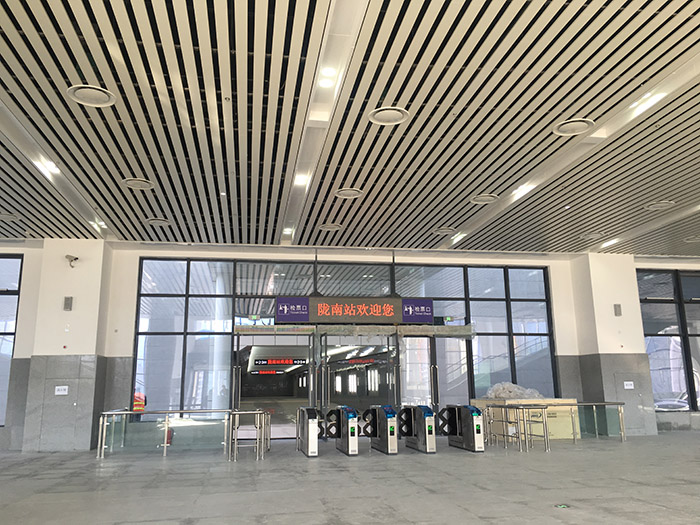 全國、省市政協(xié)委員體驗(yàn)蘭渝鐵路、視察階州廣場