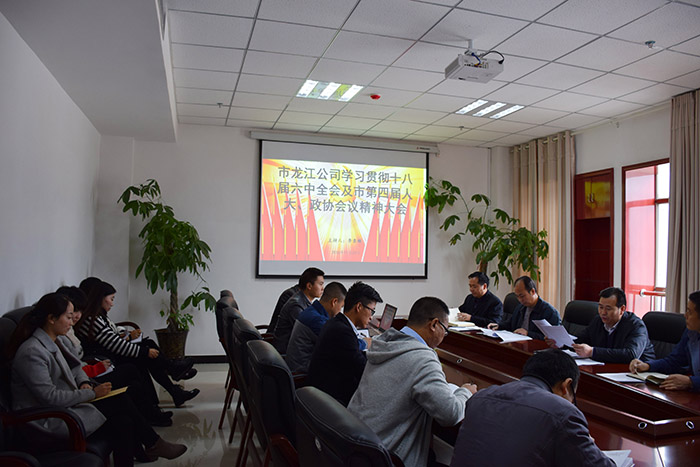 市龍江公司召開全體員工大會，專題傳達學習上級會議精神