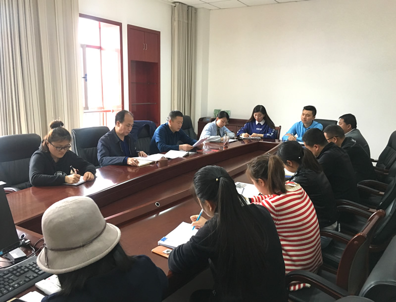 市龍江城鄉(xiāng)發(fā)展集團專題學習近期中央、省、市紀律檢查委員會議精神