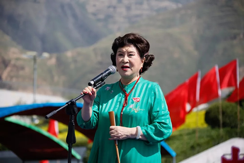 2019武都花椒產(chǎn)銷對(duì)接（電商）洽談會(huì)在階州廣場隆重開幕~