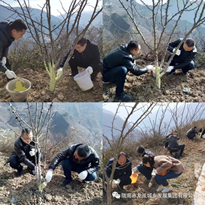 市龍江集團(tuán)在文縣橋頭鎮(zhèn)安子坡村開展“解難題、辦實(shí)事、送溫暖”活動
