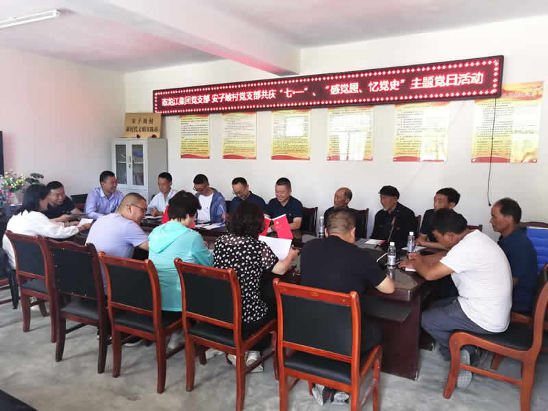 “感黨恩、憶黨史”，--市龍江城鄉(xiāng)發(fā)展集團公司開展慶祝建黨99周年主題黨日活動