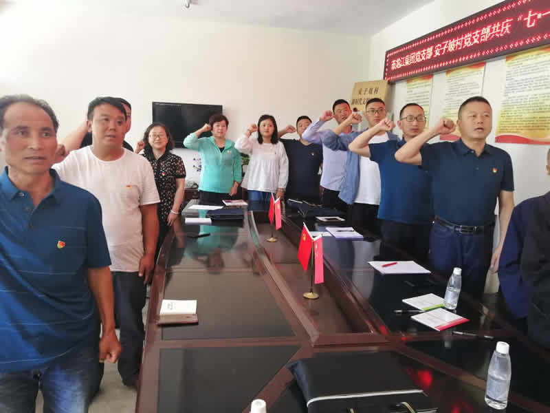 “感黨恩、憶黨史”，--市龍江城鄉(xiāng)發(fā)展集團公司開展慶祝建黨99周年主題黨日活動