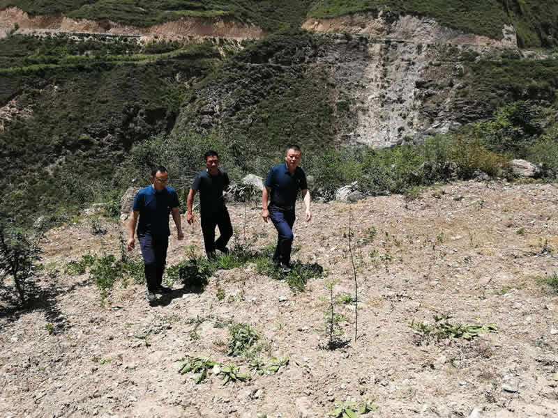 “感黨恩、憶黨史”，--市龍江城鄉(xiāng)發(fā)展集團公司開展慶祝建黨99周年主題黨日活動